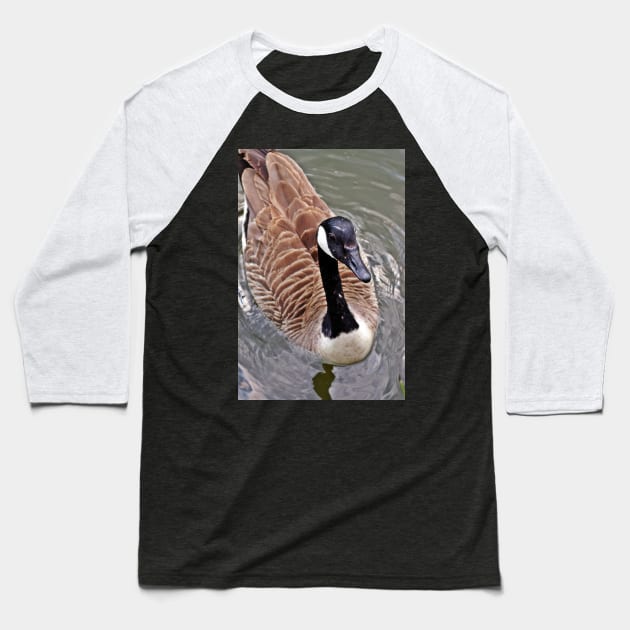 Canada Goose Up Close Baseball T-Shirt by Viking Visual - Lori Svensen